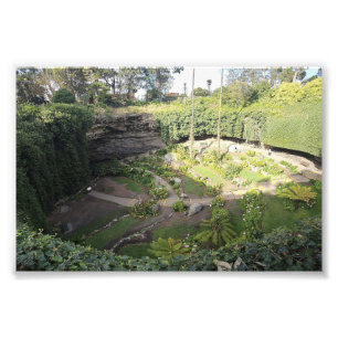 Umpherston Sinkhole Hidden Sanctuary Photo Print
