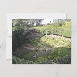 Umpherston Sinkhole Hidden Sanctuary Postcard