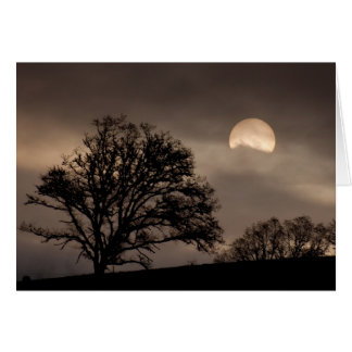 Umpqua Valley Sunrise