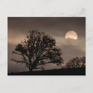 Umpqua Valley Sunrise Postcard