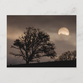 Umpqua Valley Sunrise Postcard