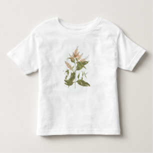 Umtar (Buddleia polystachya) (w/c over graphite on Toddler T-Shirt