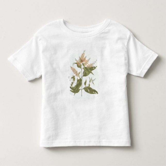 Umtar (Buddleia polystachya) (w/c over graphite on Toddler T-Shirt (Front)