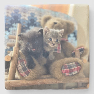 Un-Bear-ably Cute Kittens - Merlin and Guinevere - Stone Coaster