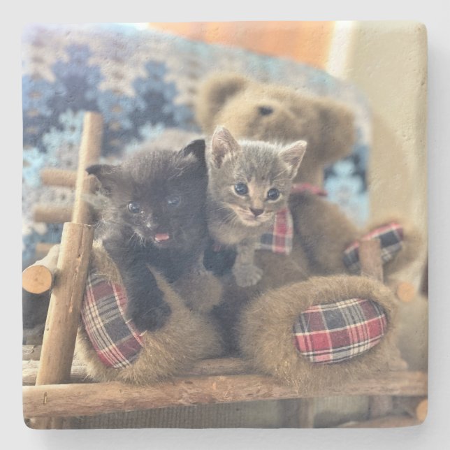 Un-Bear-ably Cute Kittens - Merlin and Guinevere - Stone Coaster (Front)
