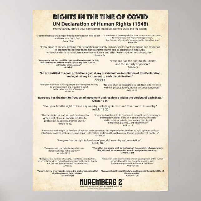 UN Declaration On Human Rights 1948 Medium Poster (Front)