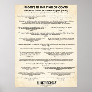 UN Declaration On Human Rights 1948 Small Poster