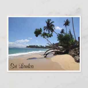 unawatuna beach tree postcard