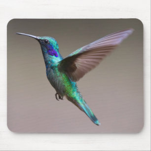 Unbelievably Beautiful and Colourful Hummingbird Mouse Pad