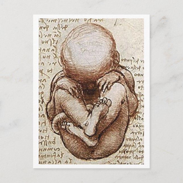 Unborn child postcard (Front)