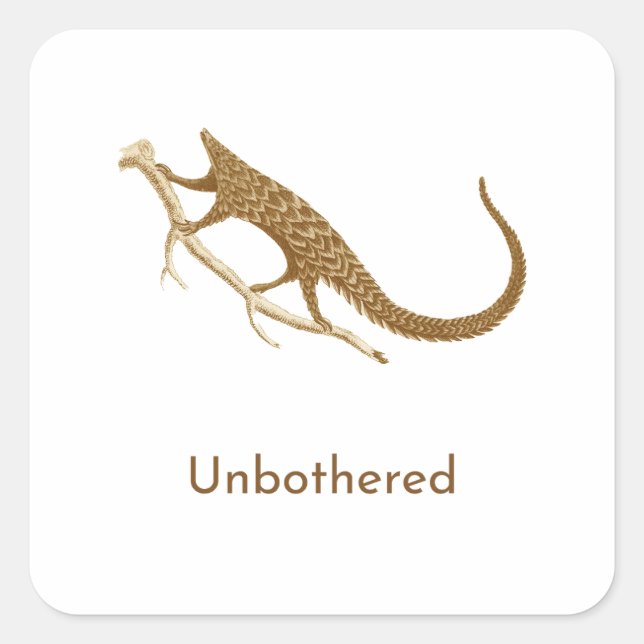 Unbothered Pangolin Square Sticker (Front)