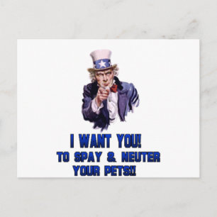 uncle sam blue postcard