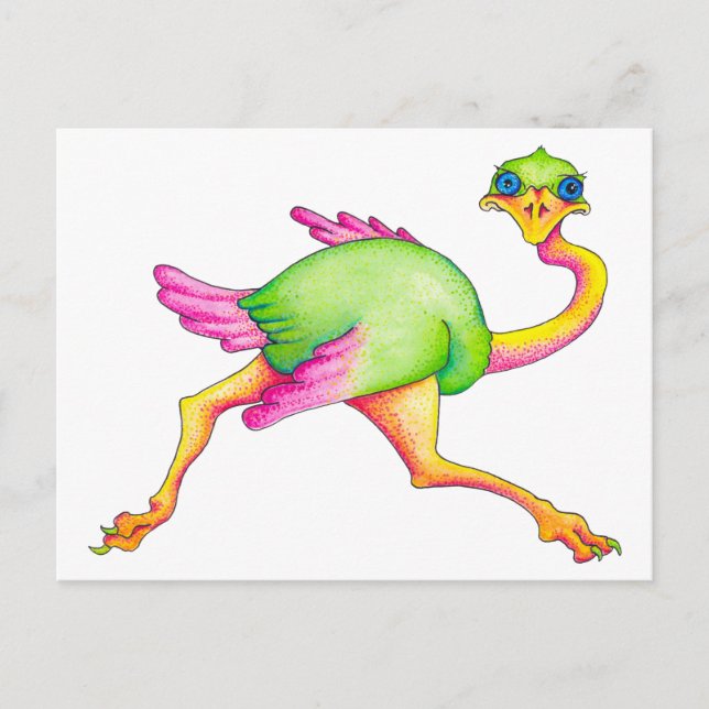 Uncommon Ostrich Postcard (Front)