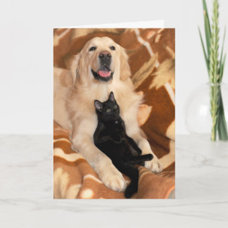 Unconditional Friendship Friends Dog & Cat Card