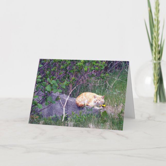 Unconditional Greeting Card (Front)