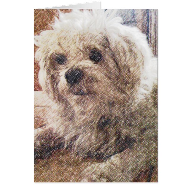 Unconditional Love (Front)