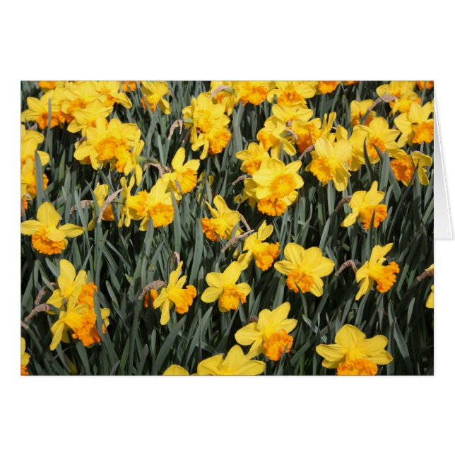 undefined (Front Horizontal)