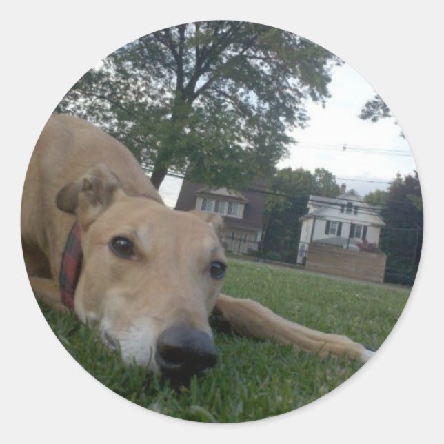 undefined classic round sticker (Front)