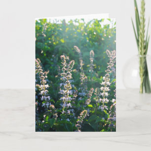 undefined holiday card