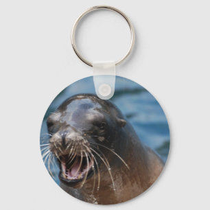undefined key ring