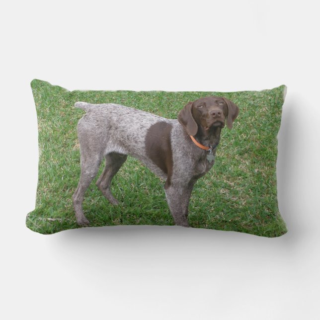 undefined lumbar cushion (Front)