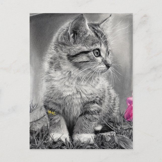 undefined postcard (Front)