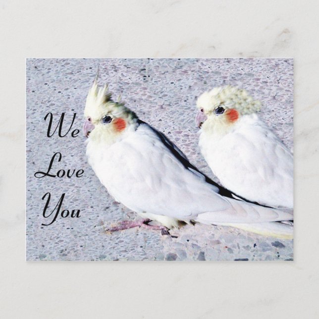 undefined postcard (Front)