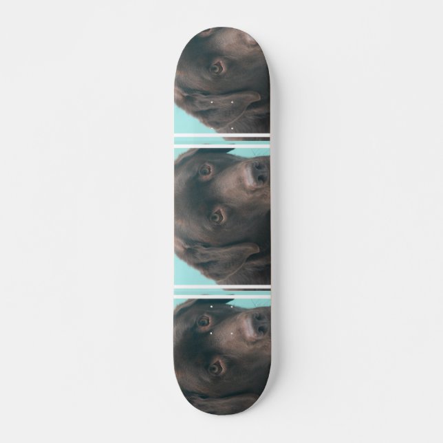 undefined skateboard (Front)
