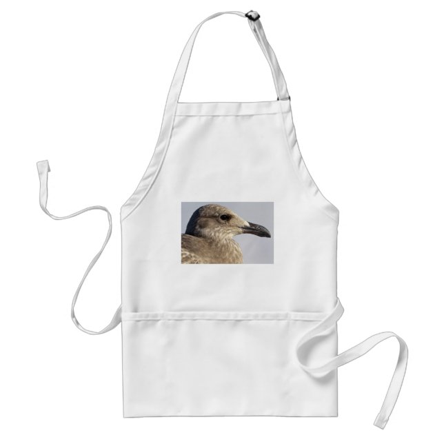 undefined standard apron (Front)