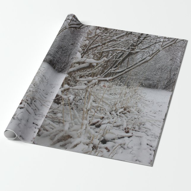 Under a Blanket of Snow Wrapping Paper (Unrolled)