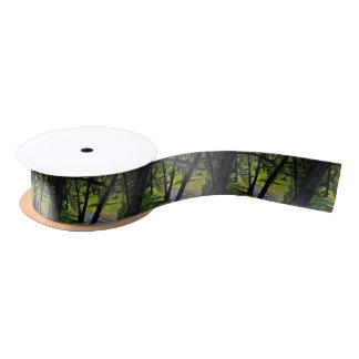 Under a Canopy of Willows Satin Ribbon