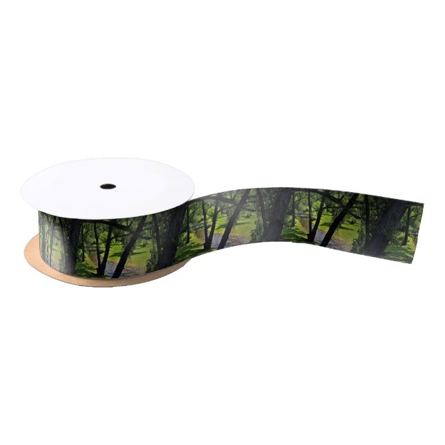 Under a Canopy of Willows Satin Ribbon (Spool)