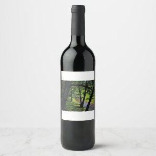 Under a Canopy of Willows Wine Label