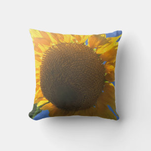 Under a Sunflower Cushion