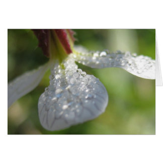 Under My Umbrella Card