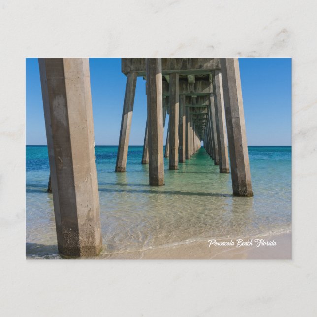 Under Pensacola Beach Pier Postcard (Front)