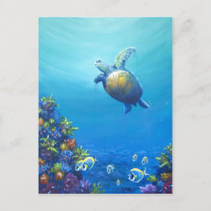 Under Sea Life Postcard
