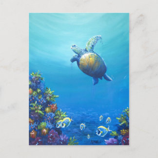 Under Sea Life Postcard