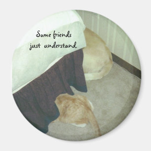 Under the Bed Magnet