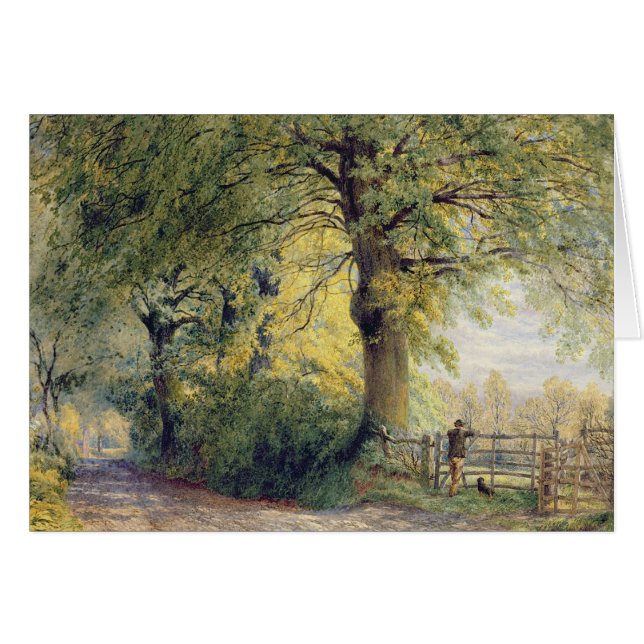 Under the Beeches (Front Horizontal)