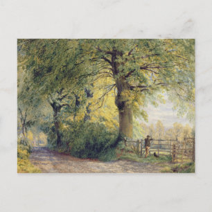 Under the Beeches Postcard