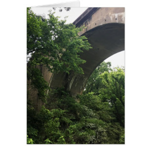 under the bridge