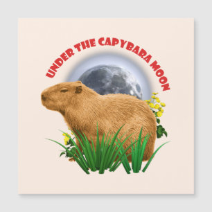 Under the Capybara Moon Funny Capybara