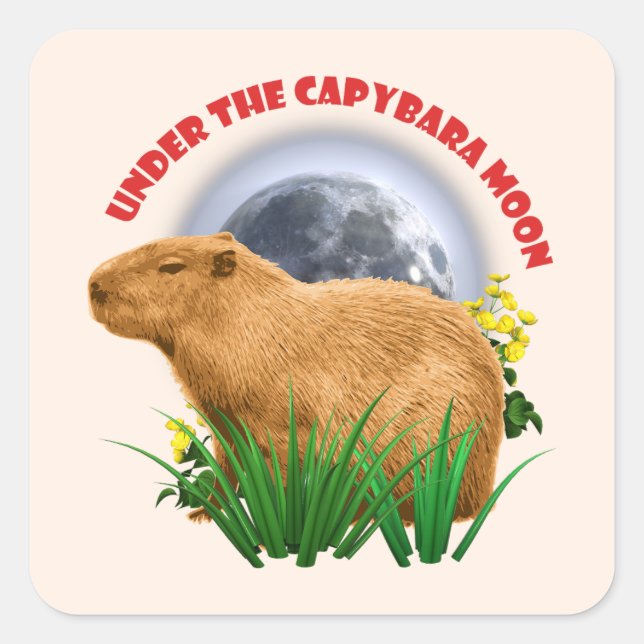 Under the Capybara Moon Funny Capybara  Square Sticker (Front)