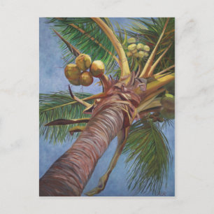 Under the Coconut Tree Postcard