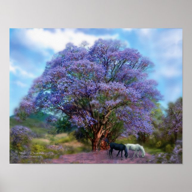 Under The Jacaranda Art Poster/Print Poster (Front)