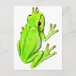 UNDER THE LEAF POSTCARD