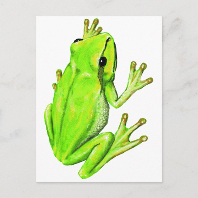 UNDER THE LEAF POSTCARD (Front)