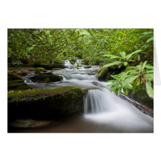 Under the Rhododendrons Card