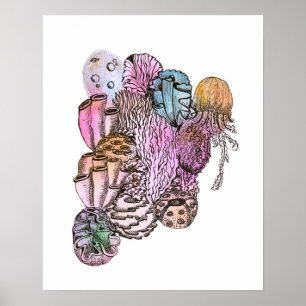 Under the Sea 01 Poster